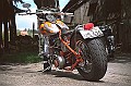 Custom 009